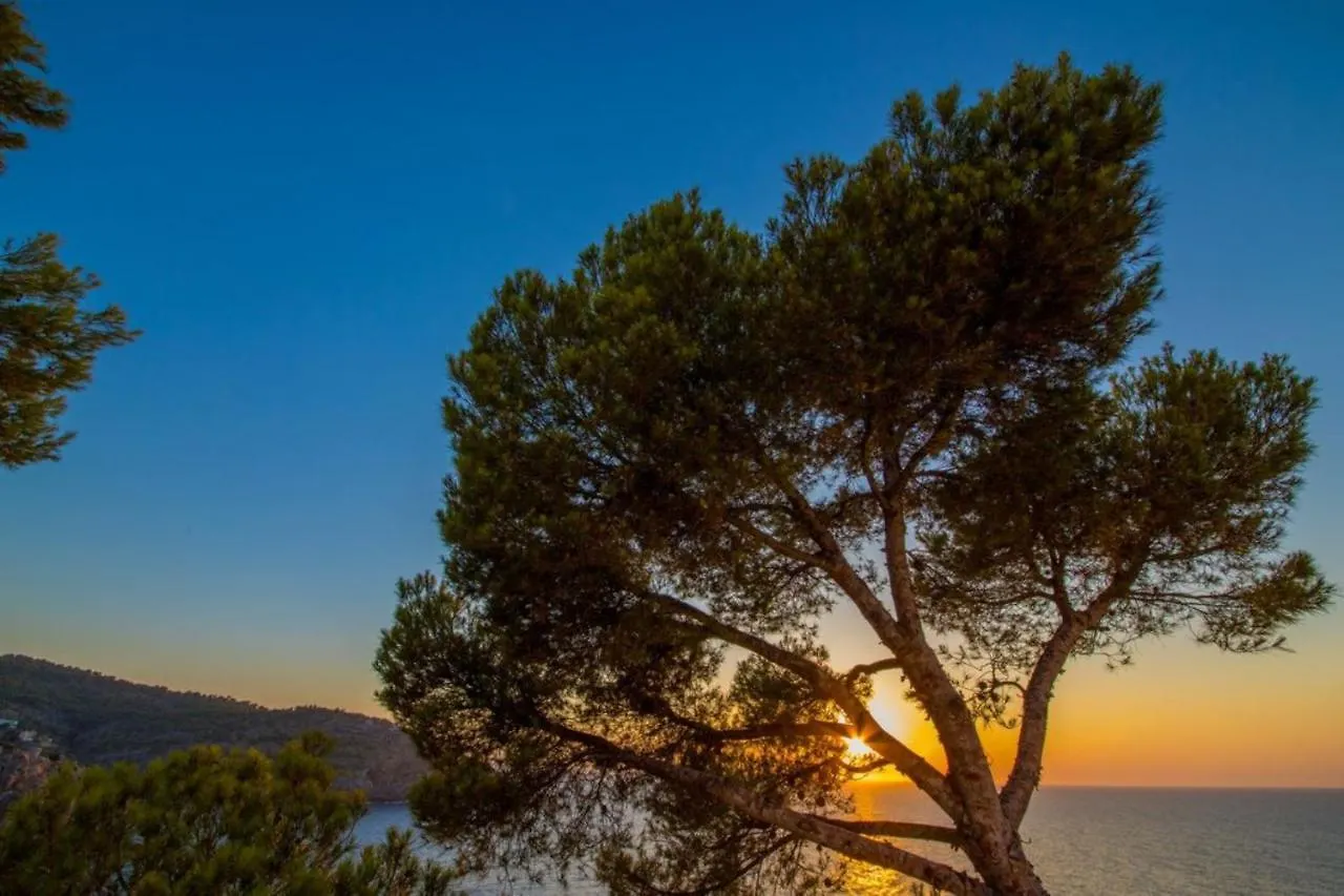 Ponent Lejlighed Puerto de Sóller